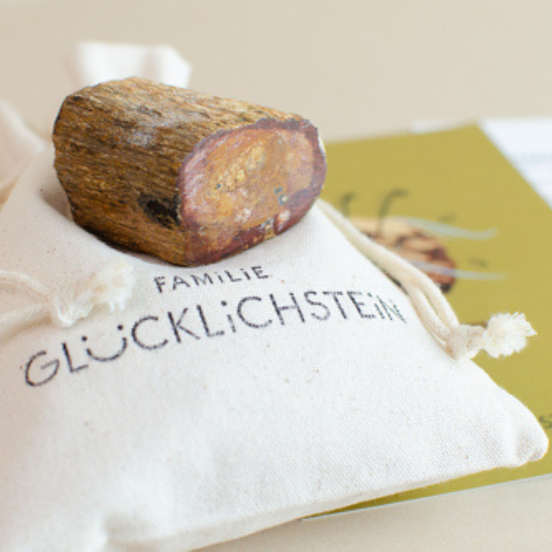 Holz aus Stein