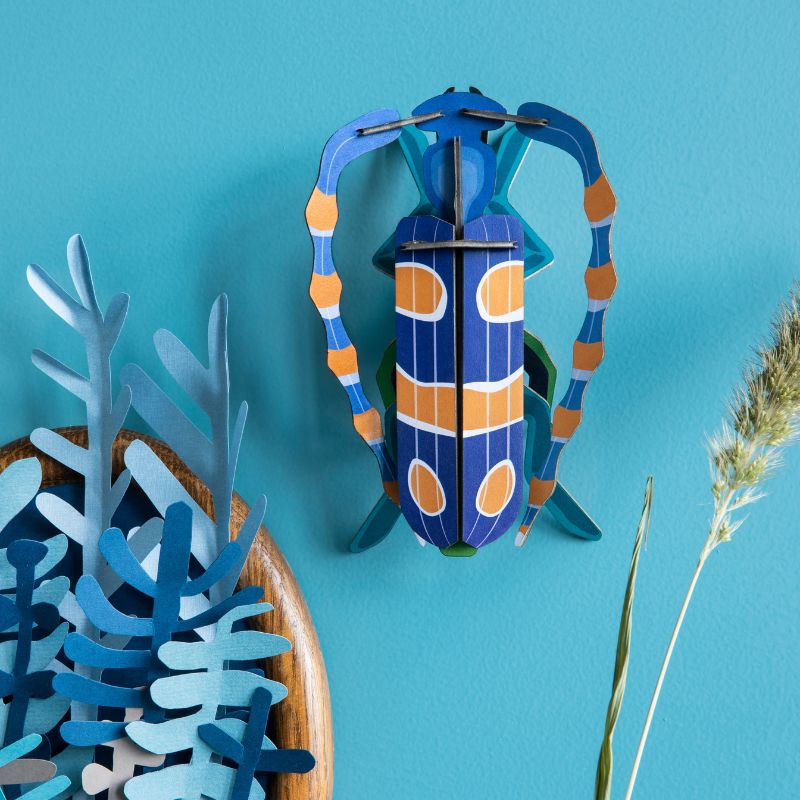Studio Roof Small Insects Rosalia Beetle | Wand Dekoration